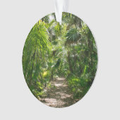 Forests Tropical Rainforest Tulum Mexico Ornament (Vorderseite)
