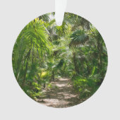 Forests Tropical Rainforest Tulum Mexico Ornament (Vorderseite)
