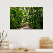 Forests Tropical Rainforest Tulum Mexico Poster (Küche)