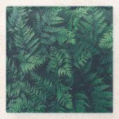 Forests | Woodland Ferns Glasuntersetzer (Vorderseite)