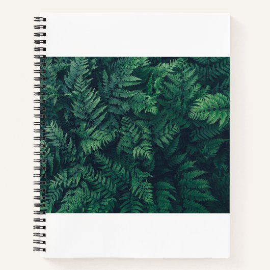 Forests Woodland Ferns Notizblock (Vorderseite)