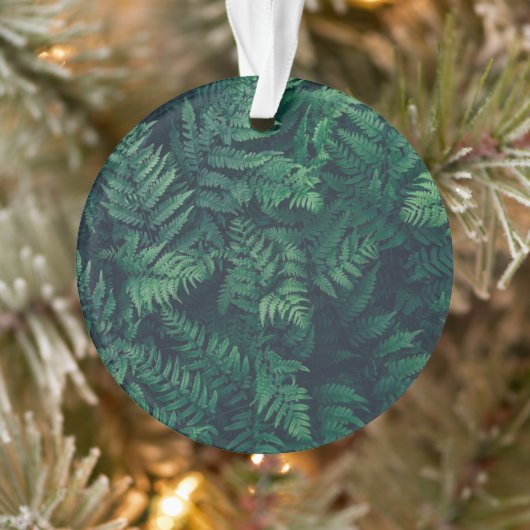Forests Woodland Ferns Ornament (Baum)