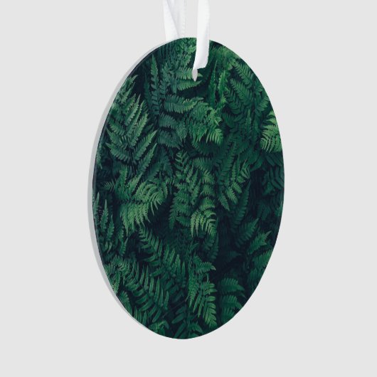 Forests Woodland Ferns Ornament (Vorderseite)