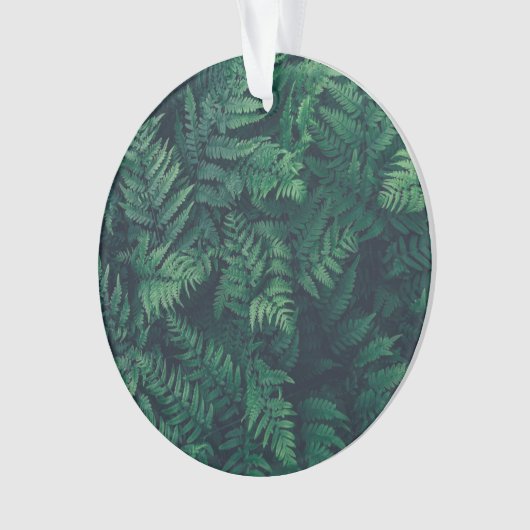 Forests Woodland Ferns Ornament (Vorderseite)