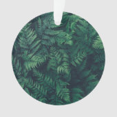 Forests Woodland Ferns Ornament (Vorderseite)