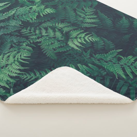Forests | Woodland Ferns Sherpadecke (3/4)