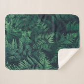 Forests | Woodland Ferns Sherpadecke (Vorderseite (Horizontal))