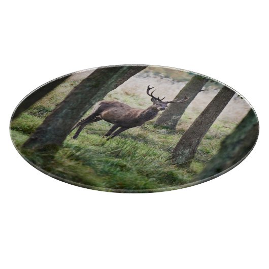 Forests Woodlands & Red Deer Schneidebrett (Ecke)