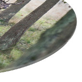 Forests Woodlands & Red Deer Schneidebrett (Ecke)