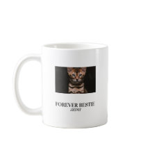 Forever bastie minimilist pet bastie