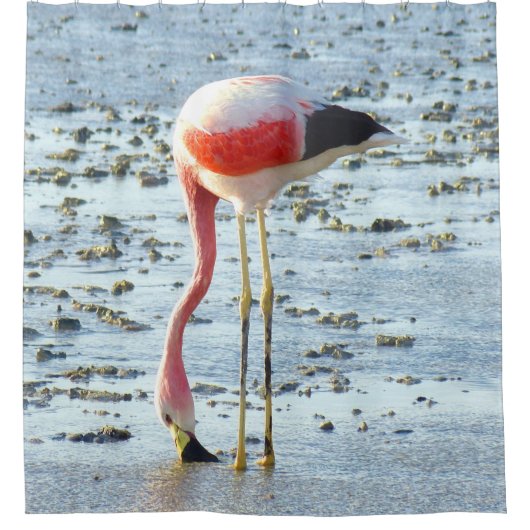 Forever Flamingo Duschvorhang (Vorderseite)