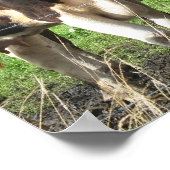 Forever Friends Cow Poster Geschenk (Ecke)