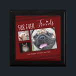 Forever Friends Pet FotoCollage Erinnerungskiste<br><div class="desc">Für den Liebhaber des Tieres in Ihrem Leben ist diese leicht zu benutzende Keepake-Box-Vorlage eine 3-Foto-Collage Option. Der gesamte Text ist einstellbar. Das Layout kann auch mit den Optionen angepasst werden. Handgezeichneter Herzakzent.</div>