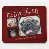Forever Friends Pet FotoCollage Mousepad (Vorne)