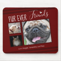 Forever Friends Pet FotoCollage