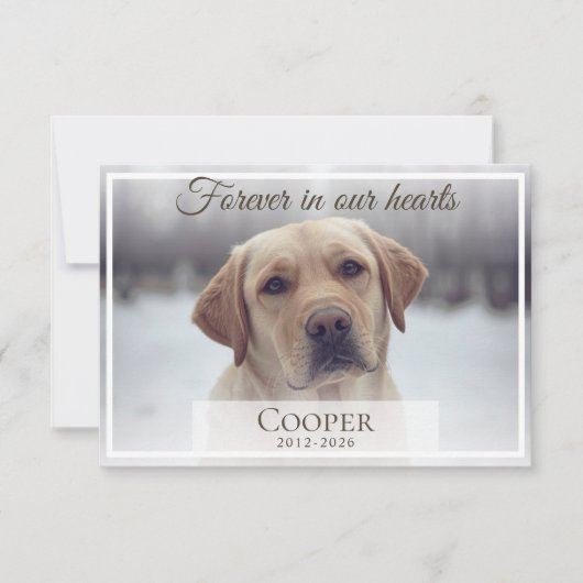 Forever in our hearts Pet memorial custom Dankeskarte (Vorderseite)