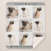 Forever in unserem Hearts Dog Foto Collage Memoria Sherpadecke (Vorderseite)