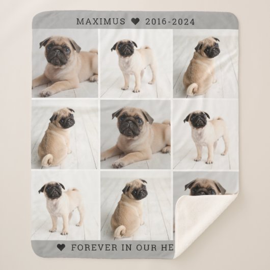Forever in unserem Hearts Dog Foto Collage Memoria Sherpadecke (Vorderseite)