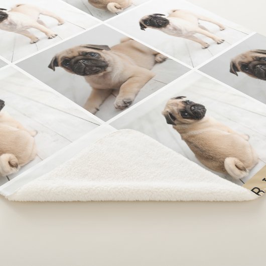 Forever in unserem Hearts Dog Foto Collage Memoria Sherpadecke (3/4)