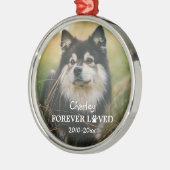 Forever Love Paw Print Pet Foto Ornament Aus Metall (Links)
