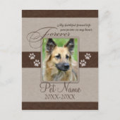Forever Loved Pet Beileid Ankündigungspostkarte (Vorderseite)