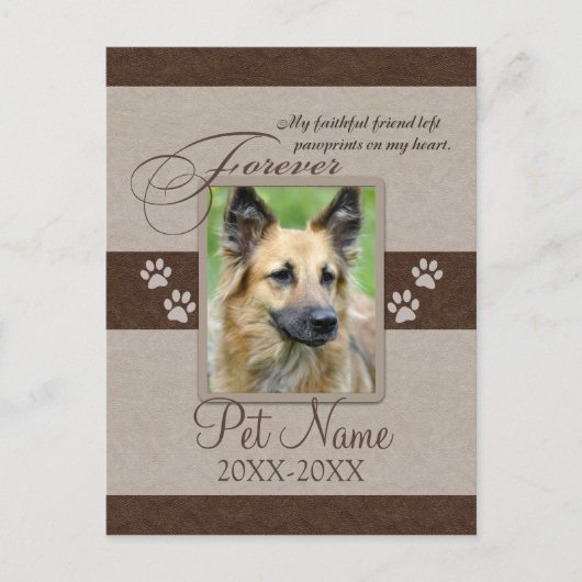 Forever Loved Pet Beileid Ankündigungspostkarte (Vorderseite)