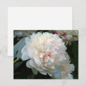 Forever Peony Einladung Postkarte (Vorne/Hinten)