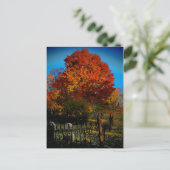 Forever Red Postcard Postkarte (Stehend Vorderseite)