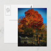 Forever Red Postcard Postkarte (Vorne/Hinten)