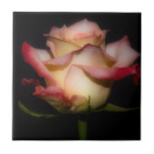 Forever Rose Fliese (Vorderseite)