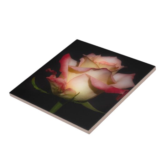 Forever Rose Fliese (Seite)