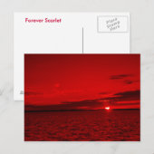 Forever Scarlet Postkarte (Vorne/Hinten)
