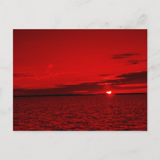 Forever Scarlet Postkarte (Vorderseite)