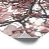 Forever Spring Magnolia Fotografy Poster (Ecke)