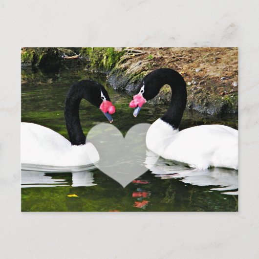 Forever Yours_ Postkarte (Vorderseite)