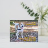 Forever Zuhause Phantastisch Grace Postkarte (Stehend Vorderseite)