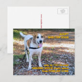 Forever Zuhause Phantastisch Grace Postkarte (Vorne/Hinten)