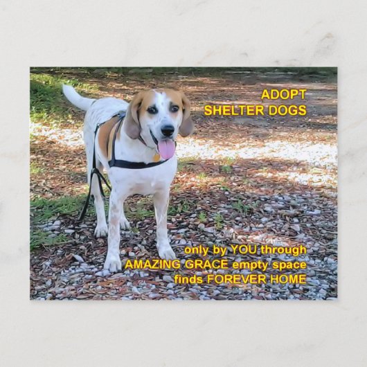 Forever Zuhause Phantastisch Grace Postkarte (Vorderseite)