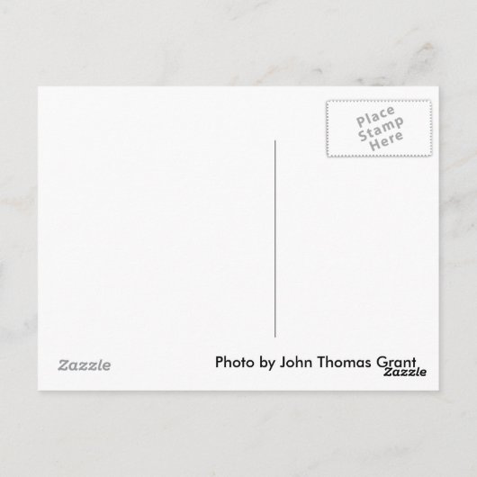 Forevermore Postkarte (Rückseite)