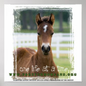 ForeverMorgans: Ein Leben zu einer Zeit Poster (Vorne)