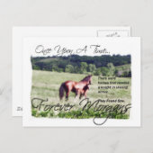 ForeverMorgans Fairytale Morgan Mare and Foal Postkarte (Vorne/Hinten)