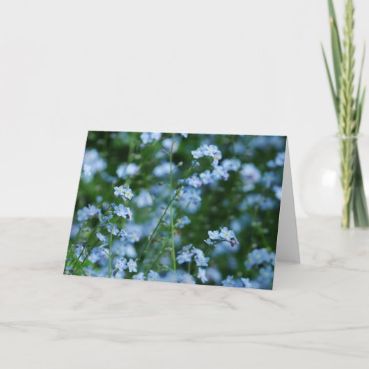 Forget-me-not Flowers Card Karte (Vorderseite)