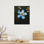 Forget Me Not Poster (Küche)