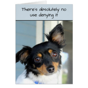 Forgive Me Doggie Cuteness Card