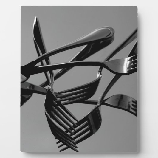 Fork Levitation Fotoplatte (Vorderseite)