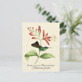 Fork Tail Wood Nymph Hummingbird Art Postkarte (Stehend Vorderseite)