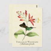 Fork Tail Wood Nymph Hummingbird Art Postkarte (Vorne/Hinten)