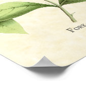 Fork Tail Wood Nymph Hummingbird Art Print Poster (Ecke)