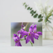 Forking Larkspur Postkarte (Stehend Vorderseite)