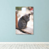 Forlorn Welpe Leinwanddruck (Insitu (Holzboden))